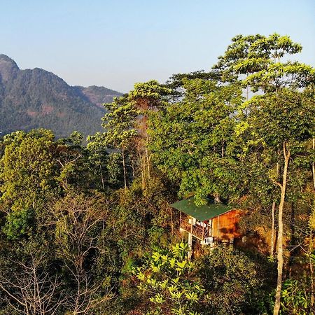 Tree Houses By Jungle River Ginigathena Eksteriør billede