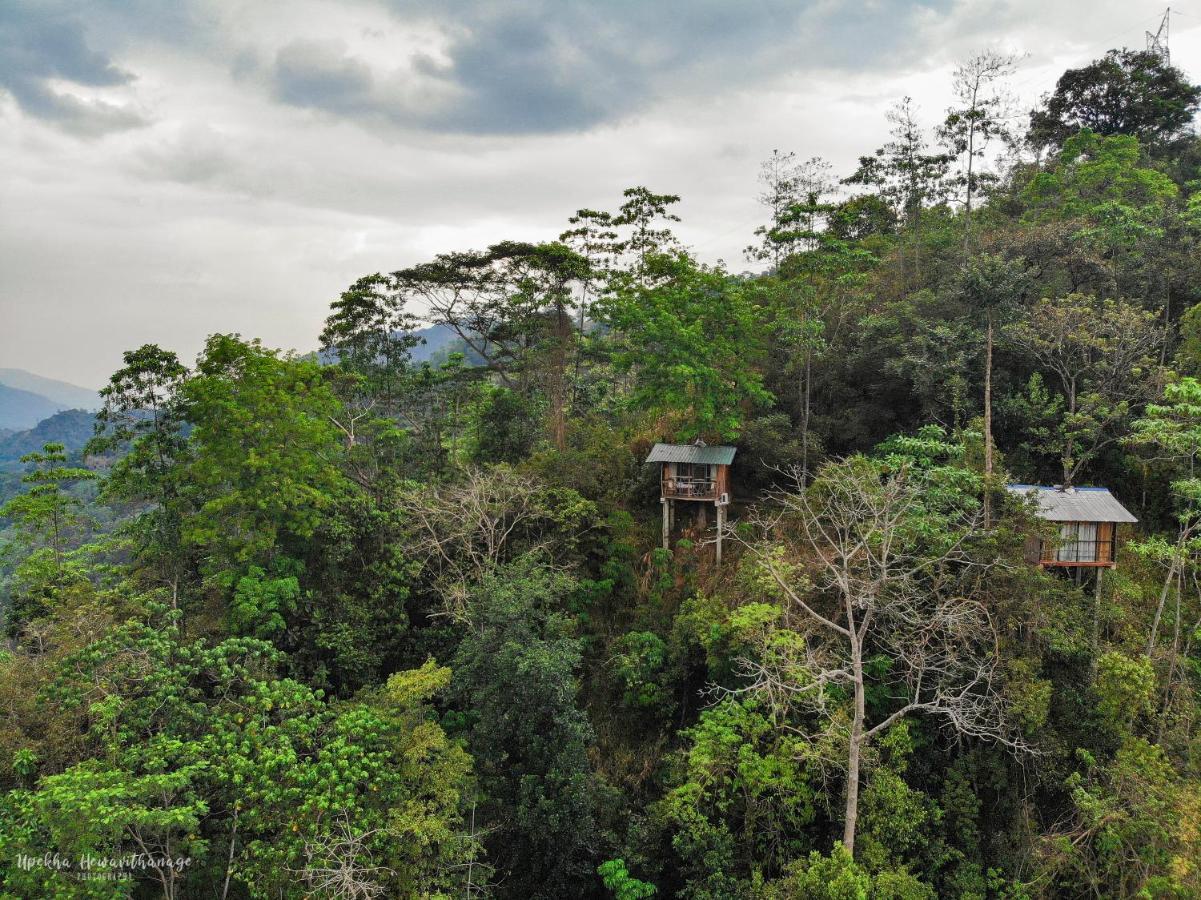 Tree Houses By Jungle River Ginigathena Eksteriør billede