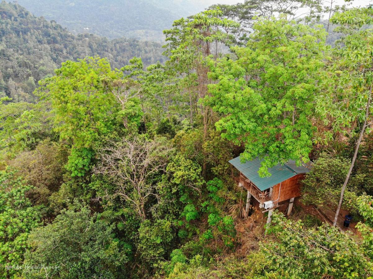 Tree Houses By Jungle River Ginigathena Eksteriør billede