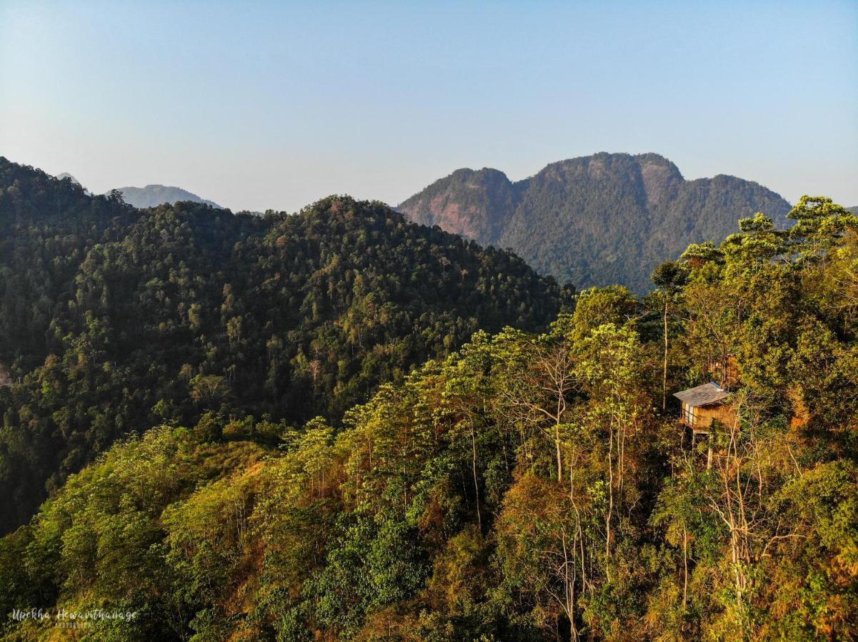 Tree Houses By Jungle River Ginigathena Eksteriør billede