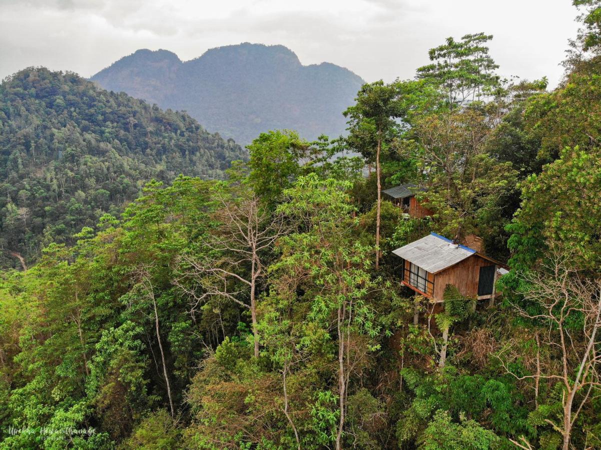 Tree Houses By Jungle River Ginigathena Eksteriør billede