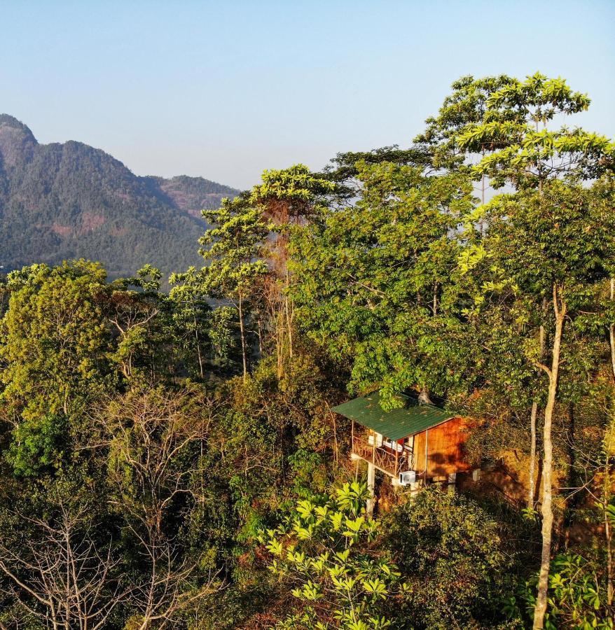 Tree Houses By Jungle River Ginigathena Eksteriør billede